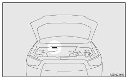 Vehicle information code plate