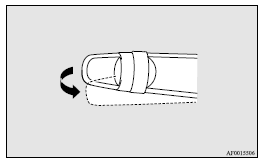 4. The headlamps will come on in the low beam setting for about 30 seconds. After