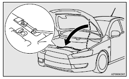 2. Slowly lower the bonnet to a position about 20 cm above the closed position,